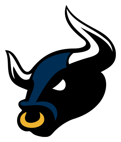 Bradford Bulls